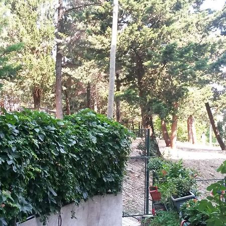 Anamarija Apartman Dubrovnik Exterior foto